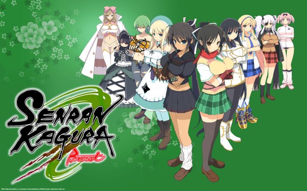 Senran Kagura Burst (3)